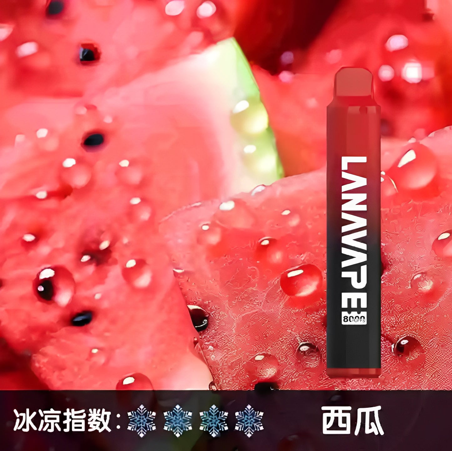 LANA ZOLT 8000口可充電 | LANA 一次性主機