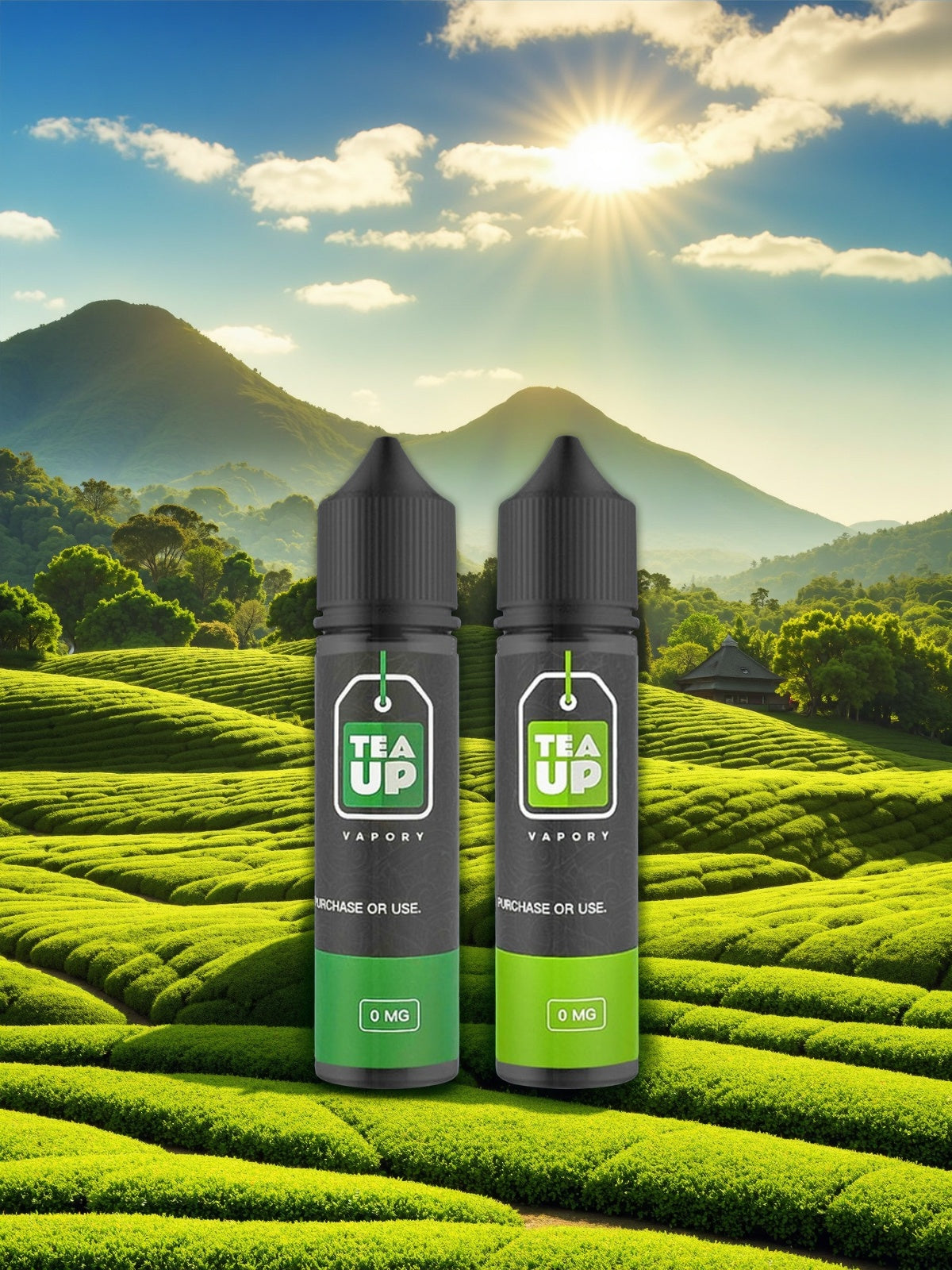 美國 TEA UP 60ML (0)(3)